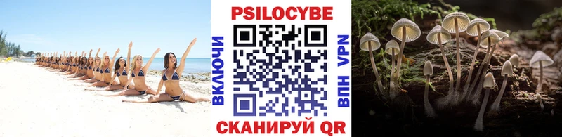 Галлюциногенные грибы ЛСД Мезень
